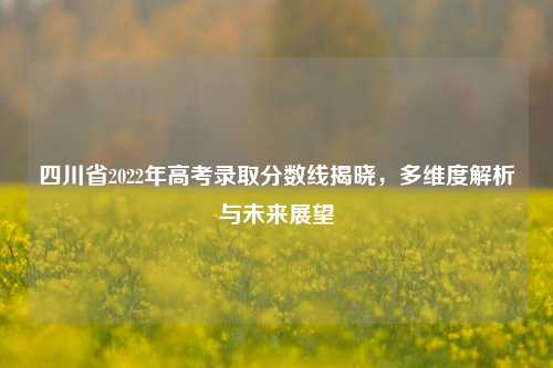 四川省2022年高考录取分数线揭晓，多维度解析与未来展望