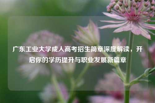广东工业大学成人高考招生简章深度解读，开启你的学历提升与职业发展新篇章