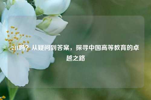 211吗？从疑问到答案，探寻中国高等教育的卓越之路