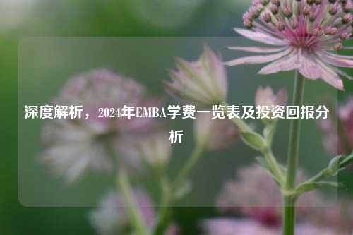 深度解析，2024年EMBA学费一览表及投资回报分析