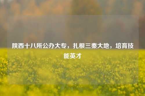 陕西十八所公办大专，扎根三秦大地，培育技能英才