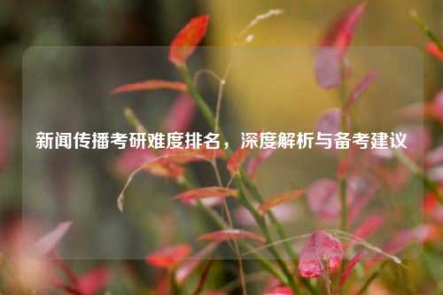 新闻传播考研难度排名，深度解析与备考建议