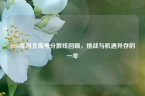 2016年河北高考分数线回顾，挑战与机遇并存的一年