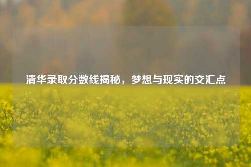 清华录取分数线揭秘，梦想与现实的交汇点
