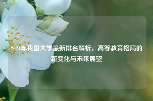 2024年我国大学最新排名解析，高等教育格局的新变化与未来展望