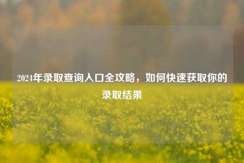 2024年录取查询入口全攻略，如何快速获取你的录取结果