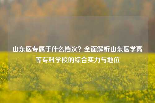 山东医专属于什么档次？全面解析山东医学高等专科学校的综合实力与地位
