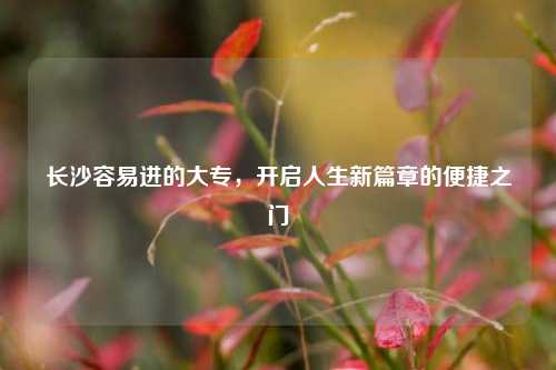 长沙容易进的大专，开启人生新篇章的便捷之门