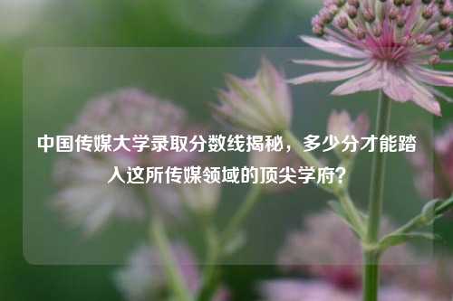 中国传媒大学录取分数线揭秘，多少分才能踏入这所传媒领域的顶尖学府？