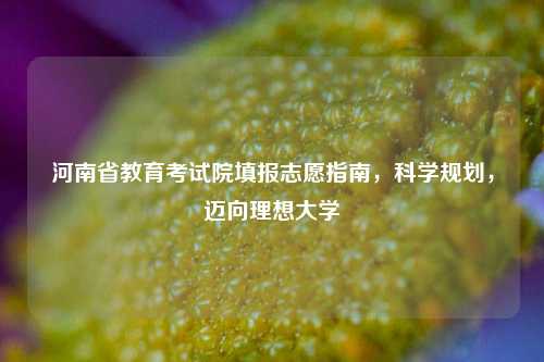 河南省教育考试院填报志愿指南，科学规划，迈向理想大学