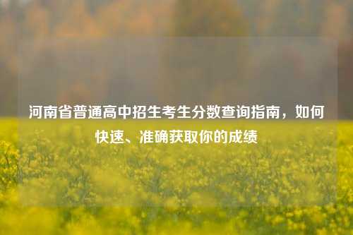 河南省普通高中招生考生分数查询指南，如何快速、准确获取你的成绩