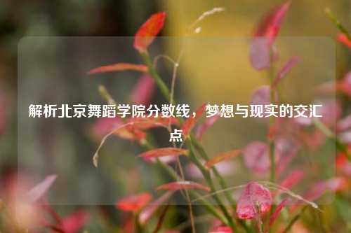 解析北京舞蹈学院分数线，梦想与现实的交汇点