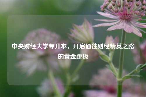 中央财经大学专升本，开启通往财经精英之路的黄金跳板
