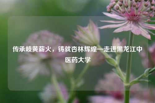 传承岐黄薪火，铸就杏林辉煌—走进黑龙江中医药大学
