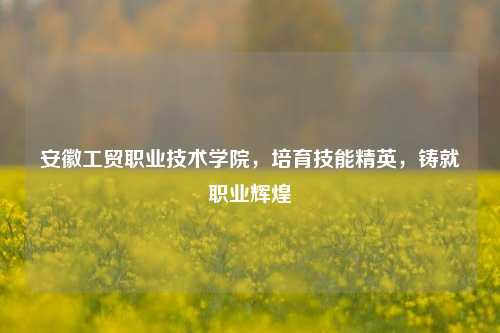 安徽工贸职业技术学院，培育技能精英，铸就职业辉煌