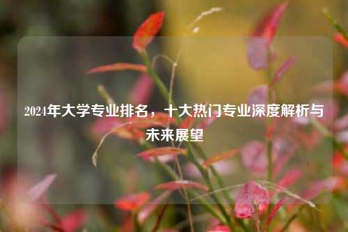 2024年大学专业排名，十大热门专业深度解析与未来展望