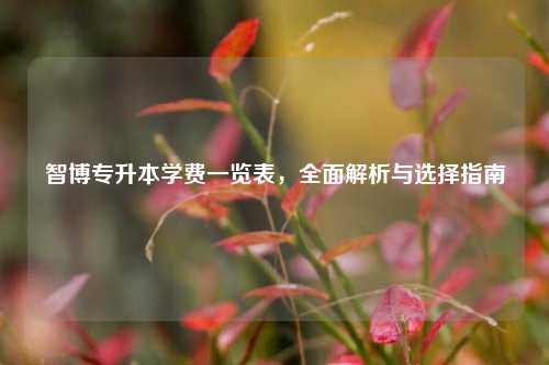 智博专升本学费一览表，全面解析与选择指南