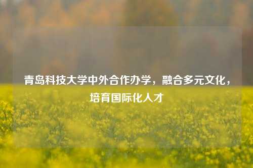 青岛科技大学中外合作办学，融合多元文化，培育国际化人才