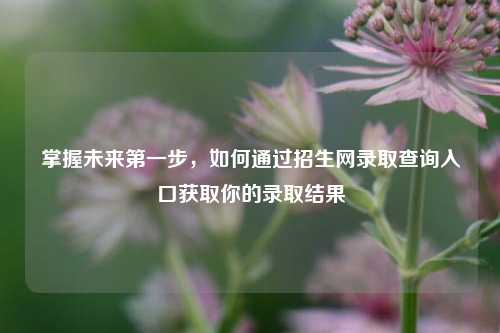 掌握未来第一步，如何通过招生网录取查询入口获取你的录取结果