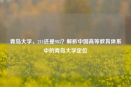 青岛大学，211还是985？解析中国高等教育体系中的青岛大学定位
