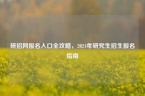 研招网报名入口全攻略，2024年研究生招生报名指南