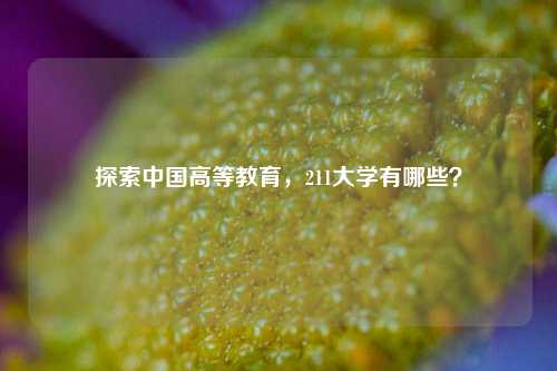 探索中国高等教育，211大学有哪些？