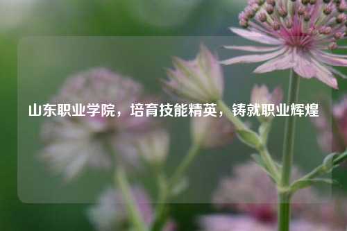 山东职业学院，培育技能精英，铸就职业辉煌