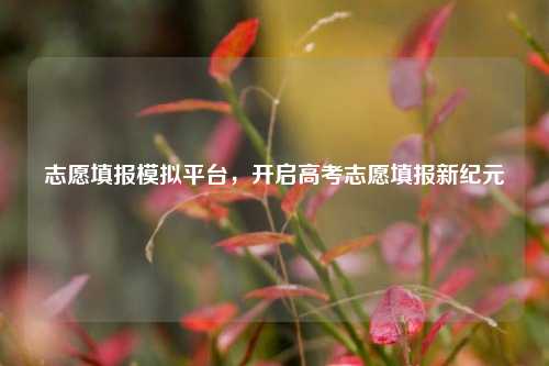 志愿填报模拟平台，开启高考志愿填报新纪元