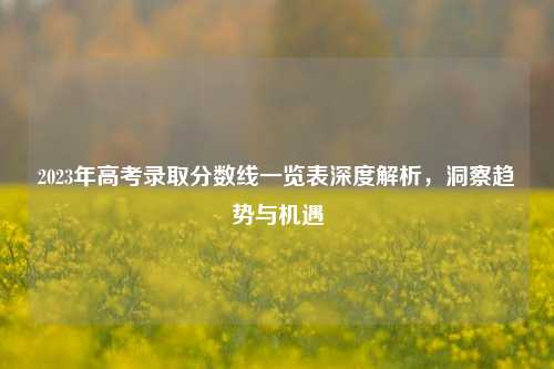 2023年高考录取分数线一览表深度解析，洞察趋势与机遇