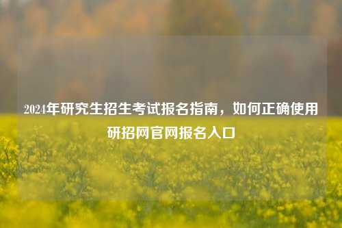 2024年研究生招生考试报名指南，如何正确使用研招网官网报名入口