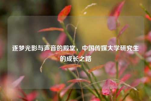 逐梦光影与声音的殿堂，中国传媒大学研究生的成长之路
