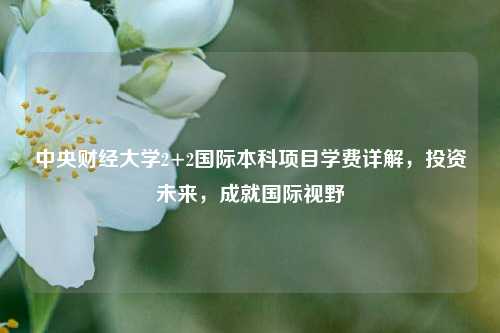 中央财经大学2+2国际本科项目学费详解，投资未来，成就国际视野