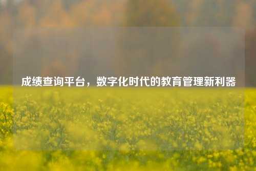成绩查询平台，数字化时代的教育管理新利器
