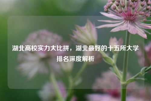 湖北高校实力大比拼，湖北最好的十五所大学排名深度解析