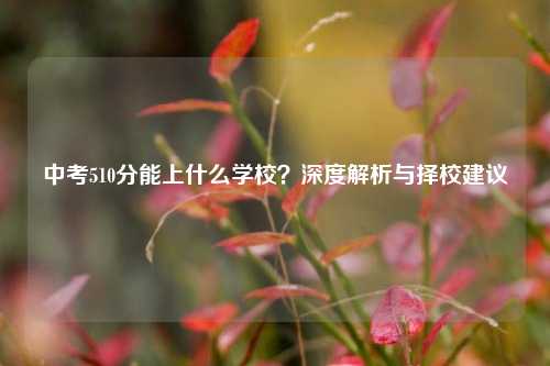 中考510分能上什么学校？深度解析与择校建议