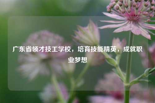 广东省领才技工学校，培育技能精英，成就职业梦想