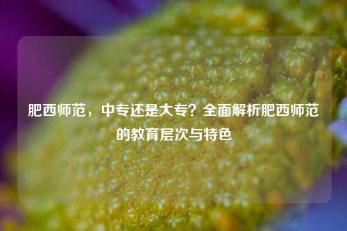 肥西师范，中专还是大专？全面解析肥西师范的教育层次与特色