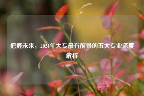 把握未来，2024年大专最有前景的五大专业深度解析