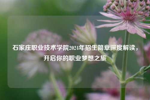 石家庄职业技术学院2024年招生简章深度解读，开启你的职业梦想之旅