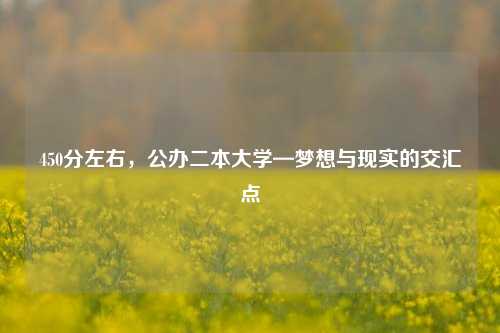 450分左右，公办二本大学—梦想与现实的交汇点