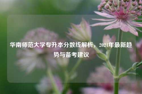 华南师范大学专升本分数线解析，2024年最新趋势与备考建议