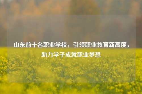 山东前十名职业学校，引领职业教育新高度，助力学子成就职业梦想