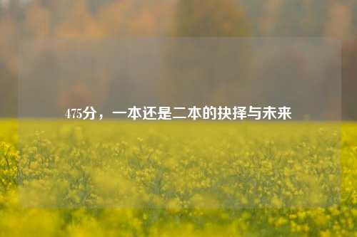 475分，一本还是二本的抉择与未来