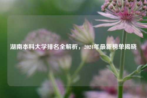 湖南本科大学排名全解析，2024年最新榜单揭晓