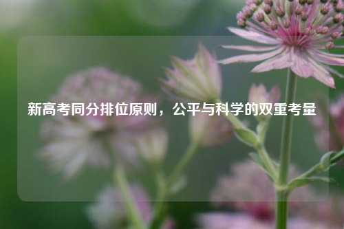 新高考同分排位原则，公平与科学的双重考量