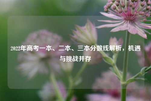 2022年高考一本、二本、三本分数线解析，机遇与挑战并存
