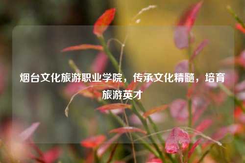 烟台文化旅游职业学院，传承文化精髓，培育旅游英才