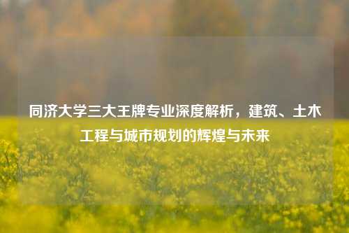 同济大学三大王牌专业深度解析，建筑、土木工程与城市规划的辉煌与未来