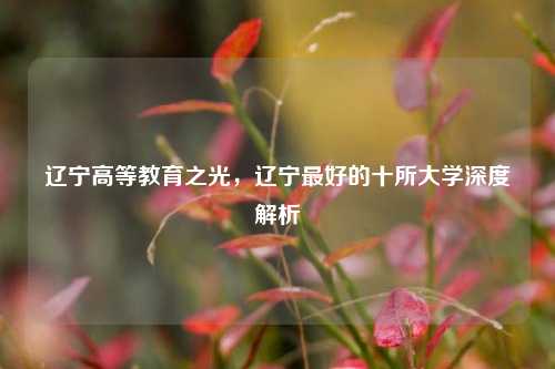 辽宁高等教育之光，辽宁最好的十所大学深度解析