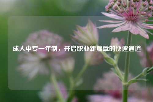 成人中专一年制，开启职业新篇章的快速通道